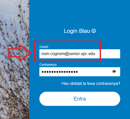 Captura de pantalla 2026-01-22 144740.png
