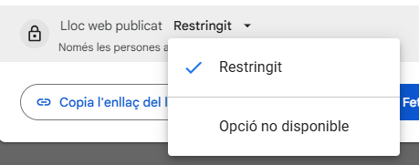 Opcions que veiem si no tenim permisos per compartir fora de la UPC