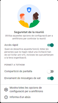 Meet opcions seguretat