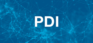 PDI. Personal Docent Investigador